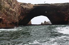 1135-Isole Ballestas,19 luglio 2013
